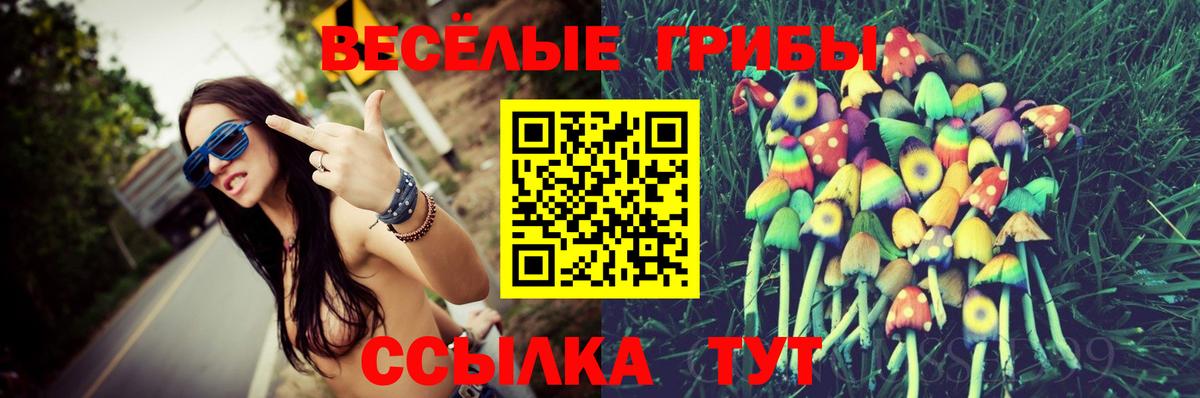 Псилоцибиновые грибы GOLDEN TEACHER  Вход с VPN  Псилоцибиновые грибы Psilocybe  Тулун 